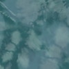 Dark Green Camo