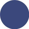 Royal Blue PMS 288U