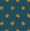 Suns